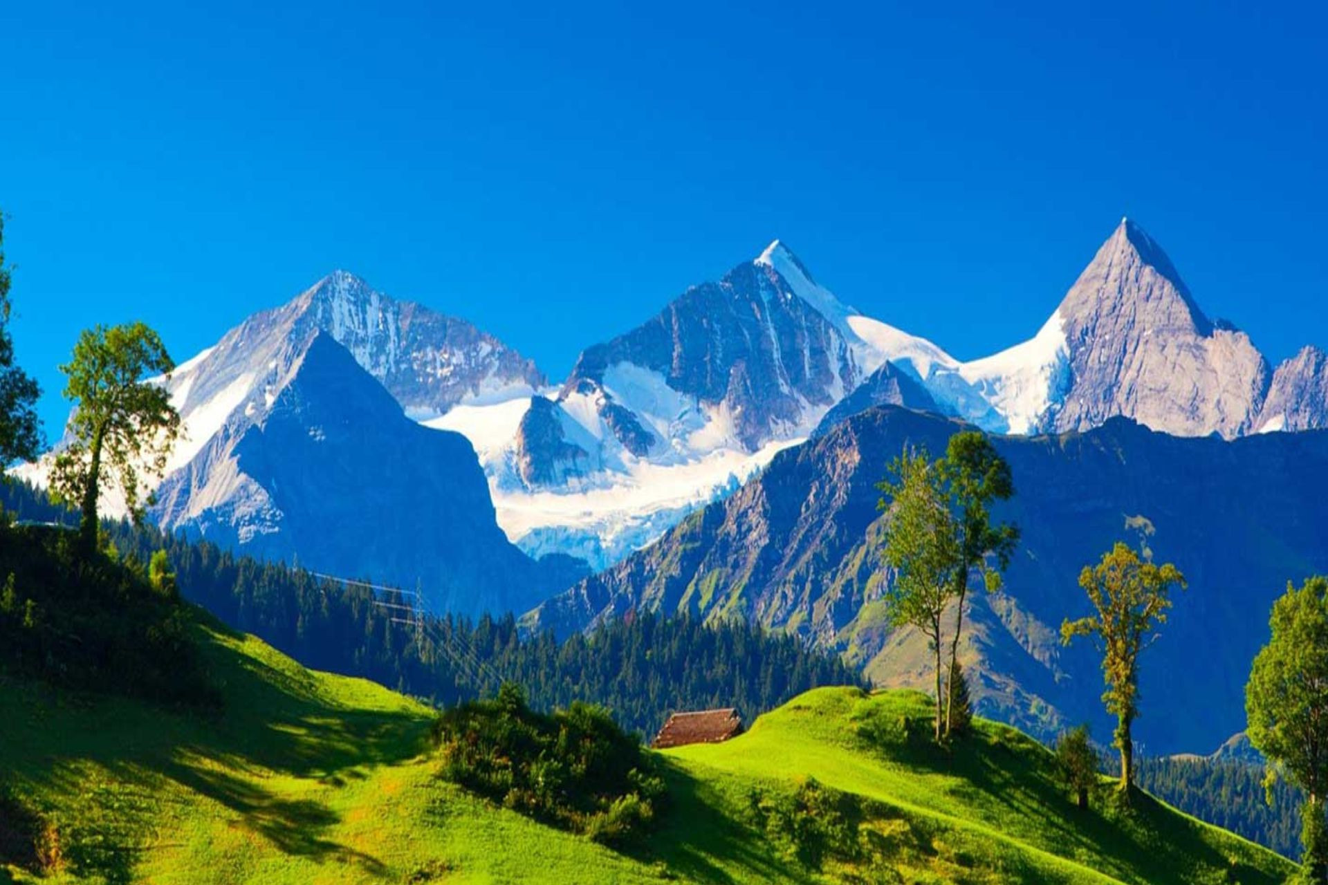 Himachal Shimal Manali Honeymoon Holiday Package - Exclusive Best Price Deals!