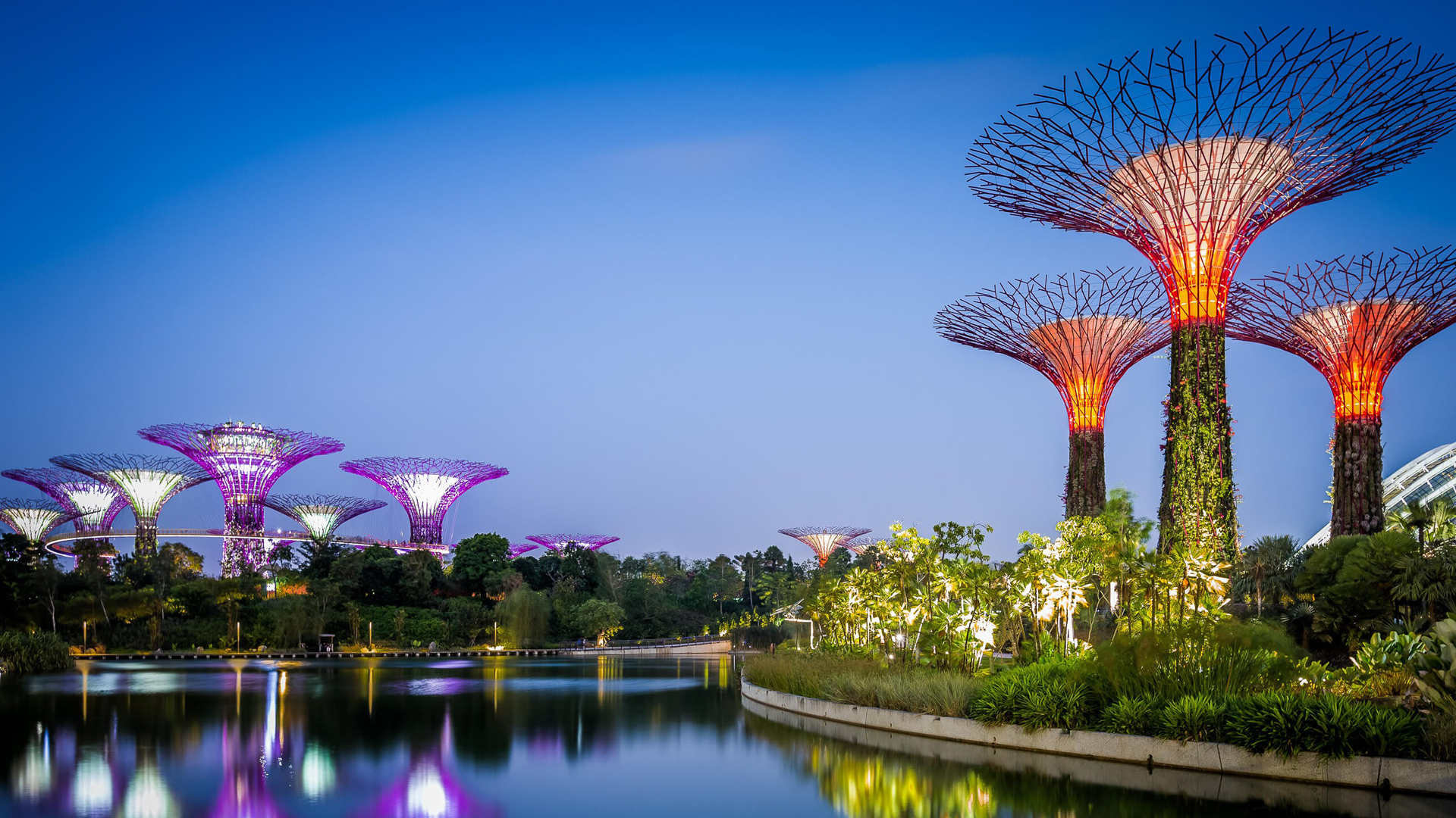 India International Holiday Package - Best Price Deals!